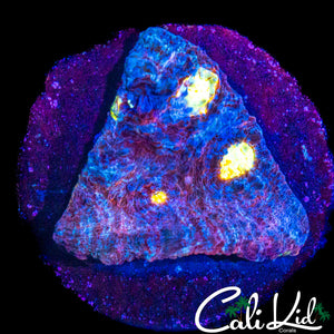 SOLOMAN SWIRL CHALICE