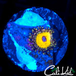 GOD BEAST ZOA