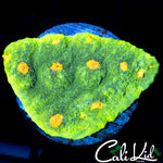 SPACE INVADER CHALICE