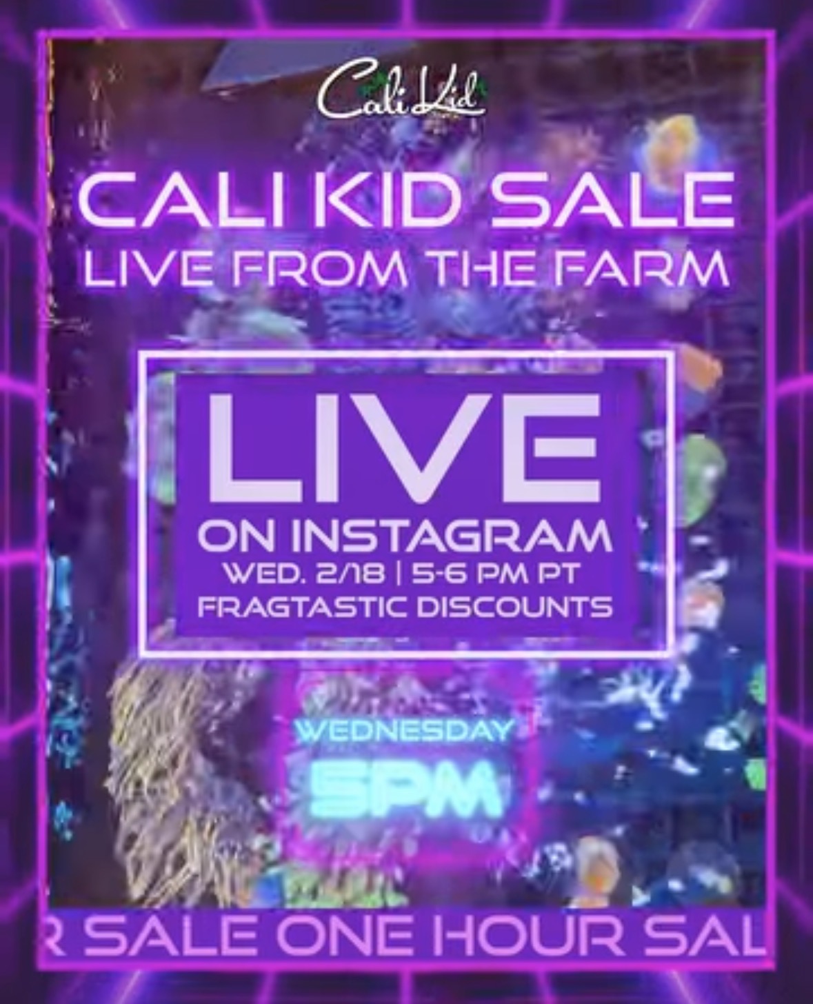 FARM SALE