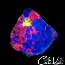 Load image into Gallery viewer, CK Candyland Chalice
