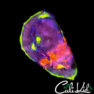 CK MIDNIGHT MAGIC CHALICE