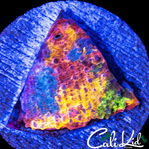 ONE OF A KIND STAINED GLASS CHALICE