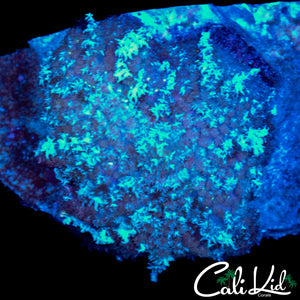 FROSTED ICE LARGE MUSHROOM