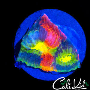 BAD ASS RAINBOW CHALICE FRAG