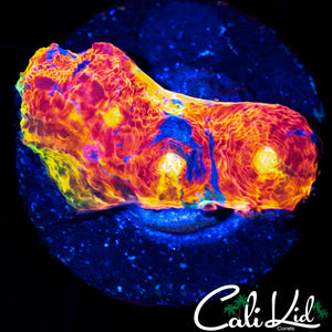 RAINBOW SWIRL CHALICE