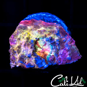 Rainbow Swirl Chalice