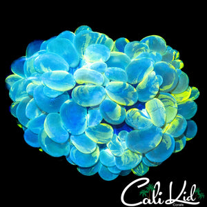 ULTRA SPLATTER BUBBLE