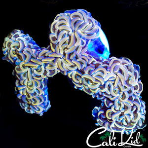Amazing Rainbow Wall Hammer