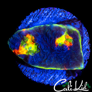 RARE RAINBOW EYE CHALICE