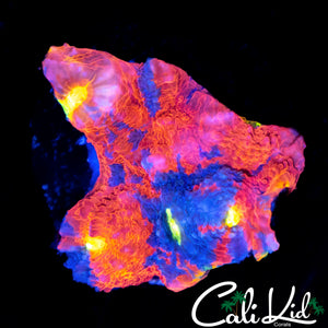 BEAUTIFUL RAINBOW CHALICE CHUNK