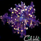 shopify auction