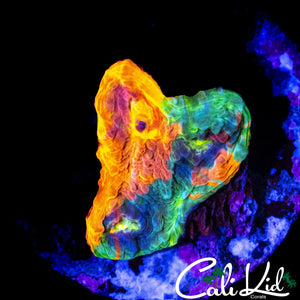 RAINBOW PICASSO CHALICE FRAG