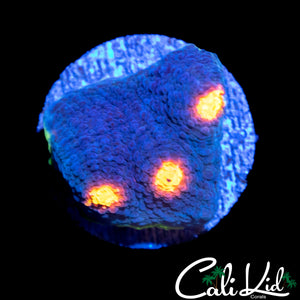 RAINBOW EYE CHALICE