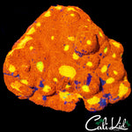 LARGE RAINBOW CHALICE COLONY