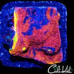 BEAUTIFUL RAINBOW CHALICE CHUNK
