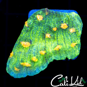 Space Invader Chalice