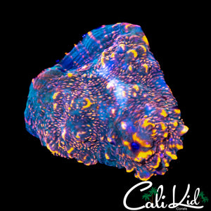 ULTRA RAINBOW EYE CHALICE