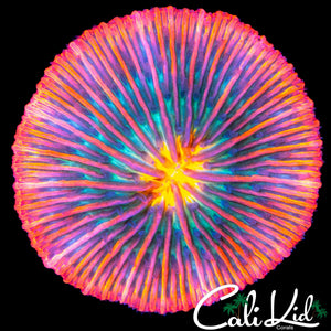 RAINBOW SWIRL PLATE