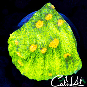 SPACE INVADER CHALICE