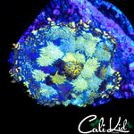 STAINED GLASS MUSHROOM