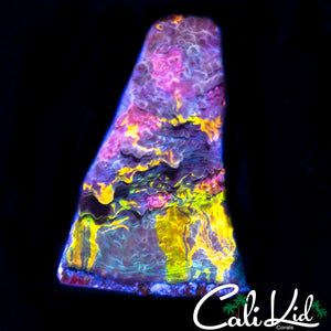 CK HURICAN' CHALICE FRAG