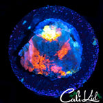RAINBOW CHALICE FRAG