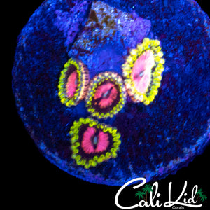 RRU OG PINK DIAMOND ZOA QUAD