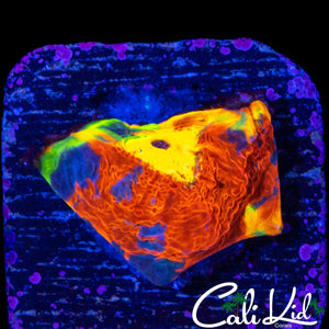 SUPER RAINBOW CHALICE FRAG