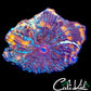 CK MYSTERY FREAK BOUNCE MUSHROOM