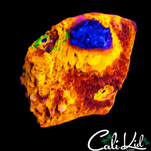 LAVA RAINBOW CHALICE