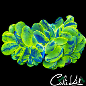 SUPER SPLATTER BUBBLE