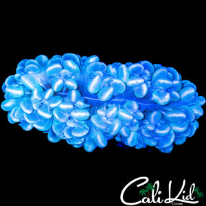 WHITE GHOST BUBBLE CORAL