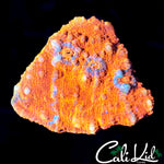 FLAMETHROWER CHALICE FRAG