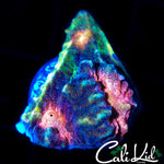 SPECKLED ULTRA CHALICE