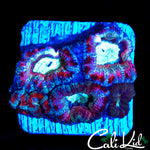 WHITE GHOST ACAN MINI COLONY