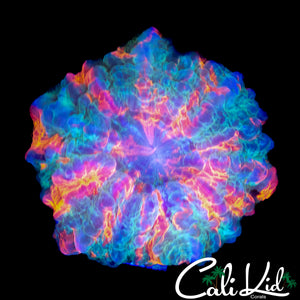RAINBOW BABY ACANTHO