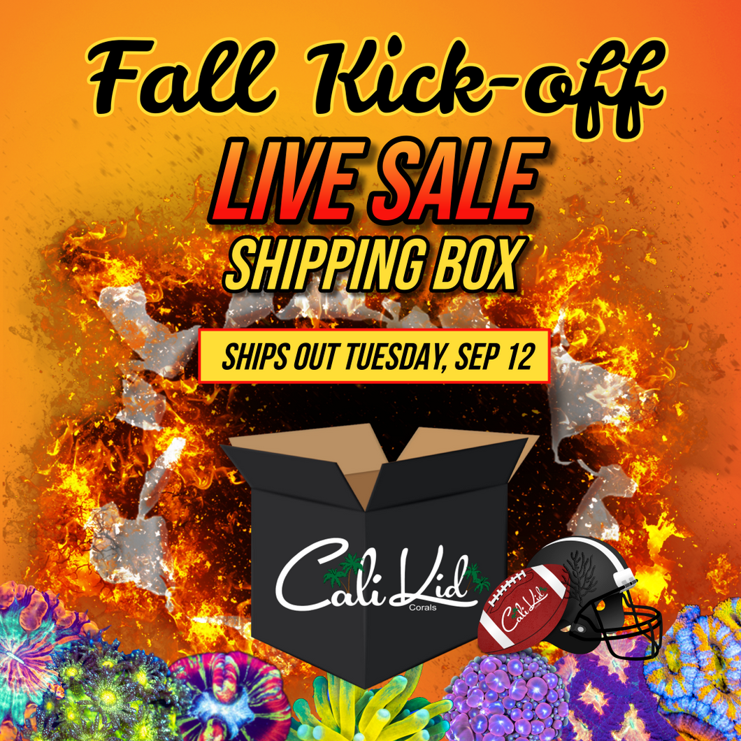 SHIP OUT TUESDAY 12TH