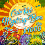 CK MYSTERY BOX