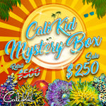 CK MYSTERY BOX