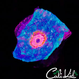 Pink Eye Chalice