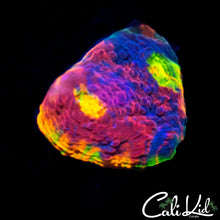 Load image into Gallery viewer, CK Candyland Chalice
