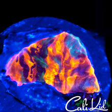 Load image into Gallery viewer, CK Monte Cristo Chalice
