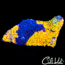 Load image into Gallery viewer, CK Huracan Chunk
